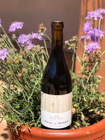 2020 Pinot Noir