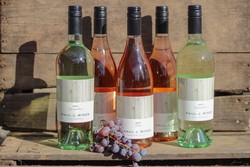 Spring Wine Club Party | Sunday April 16th | Club Ticket