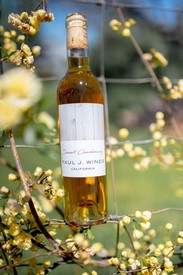 Dessert Chardonnay